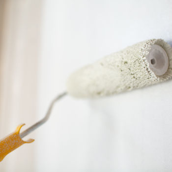 how-many-mist-coats-on-fresh-plaster