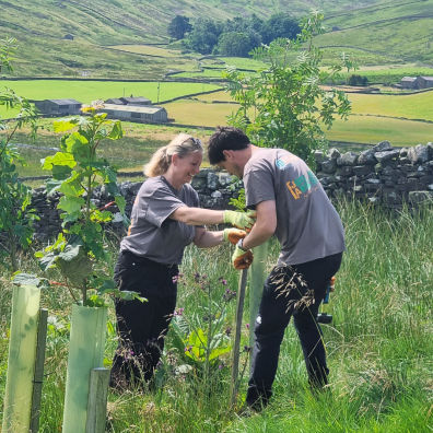 JT Atkinson Tree Planting in Yorkshire Dales