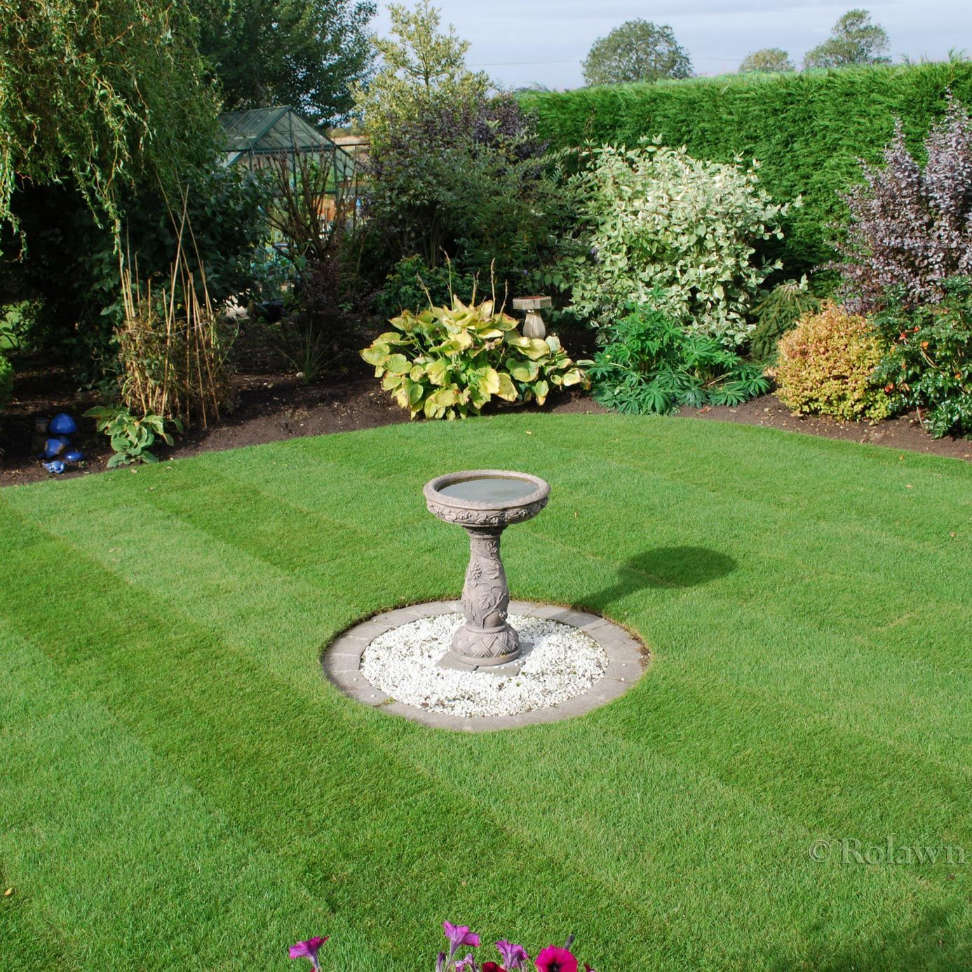 Rolawn Medallion Turf Roll 1m²