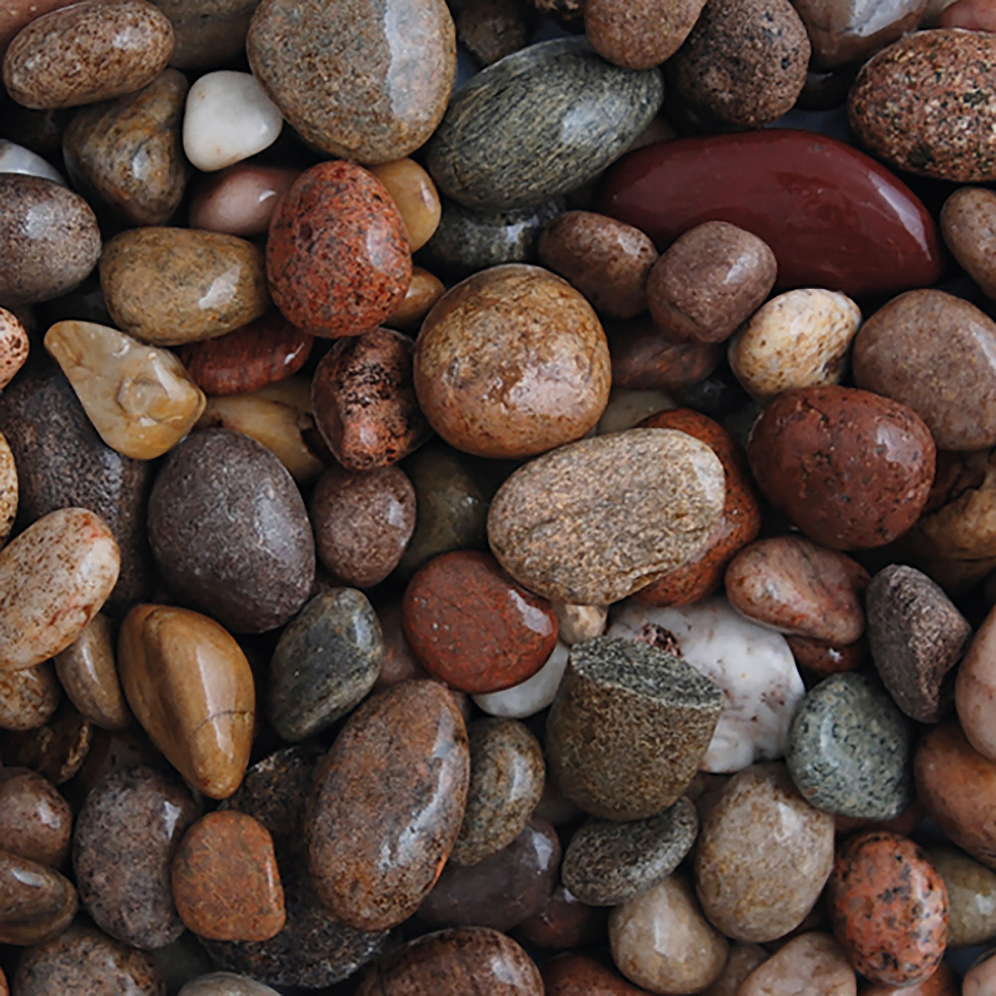 LRS Scottish Pebbles 20-30mm - 20kg Poly Bag