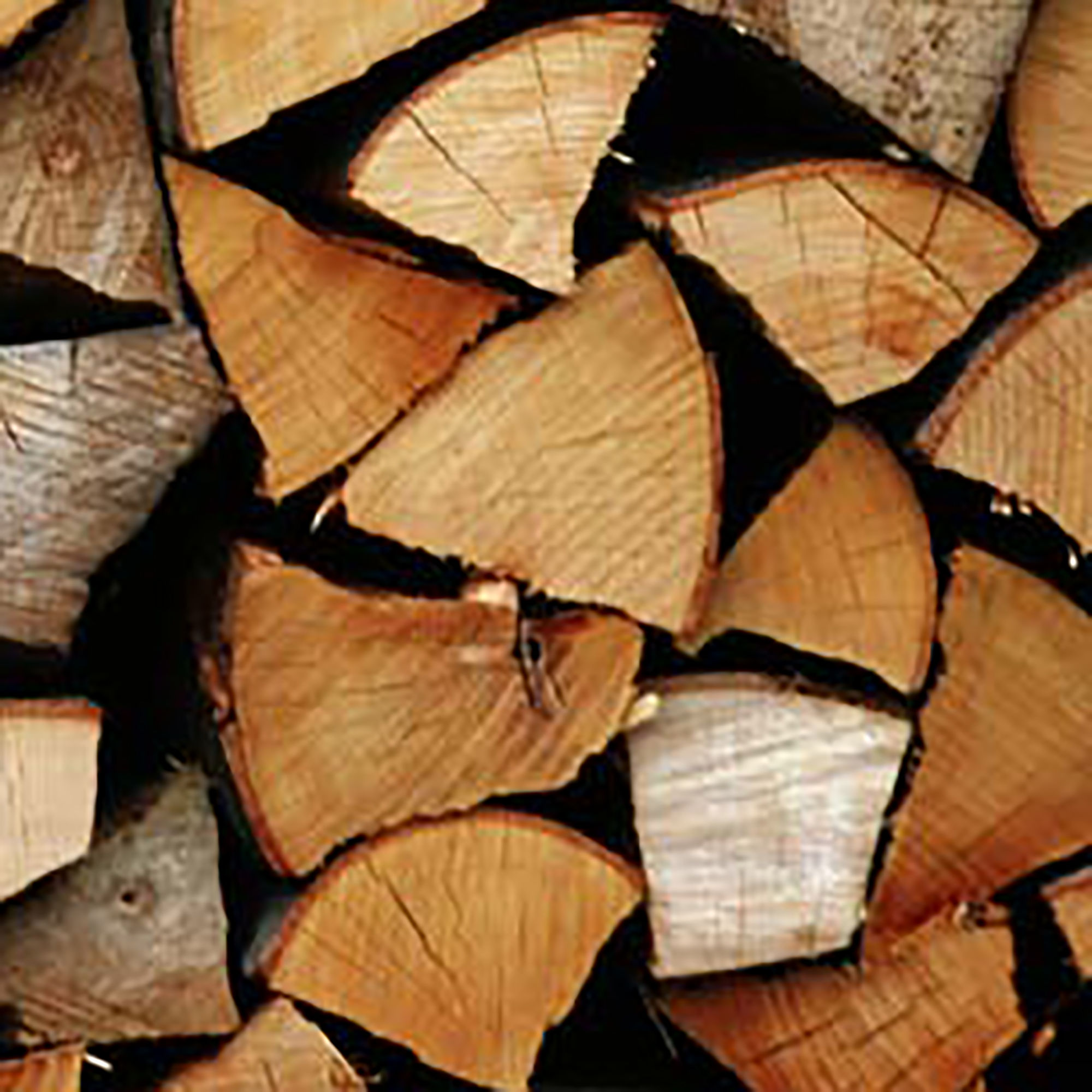 Kiln-Dried Hardwood Birch Logs 21L Net Bag