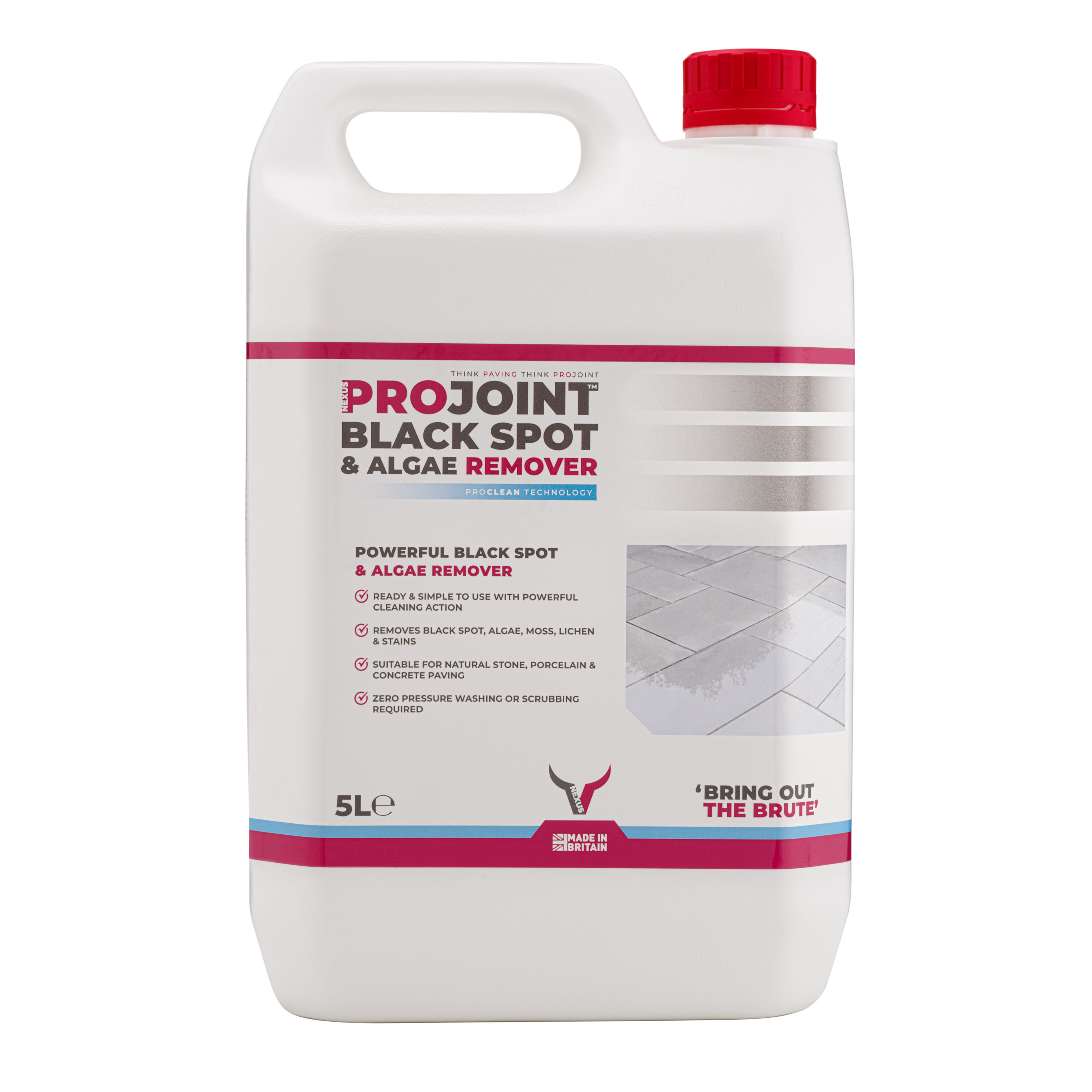 Nexus PaveCare Black Spot and Algae Remover 5L