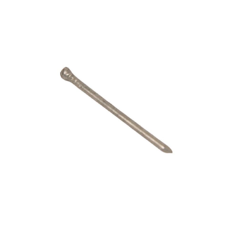 Bright Panel Pins (100 Pack) 1.6mm x 40mm - PPB40P