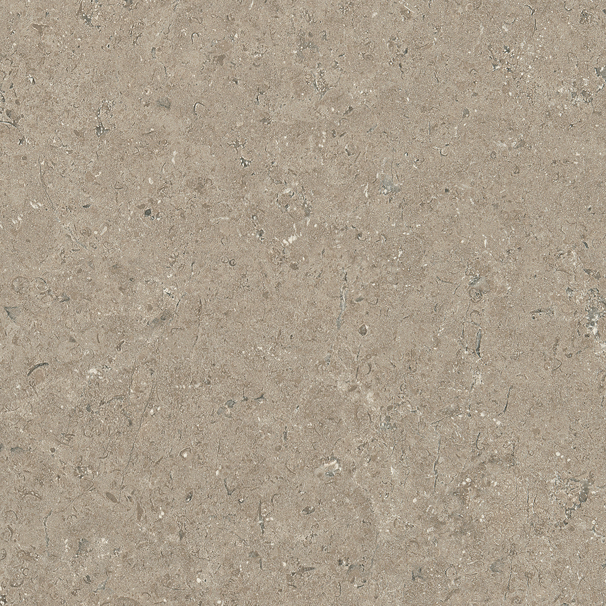 Multipanel Contemporary Bathroom Wall Panel Unlipped Tavolo Taupe